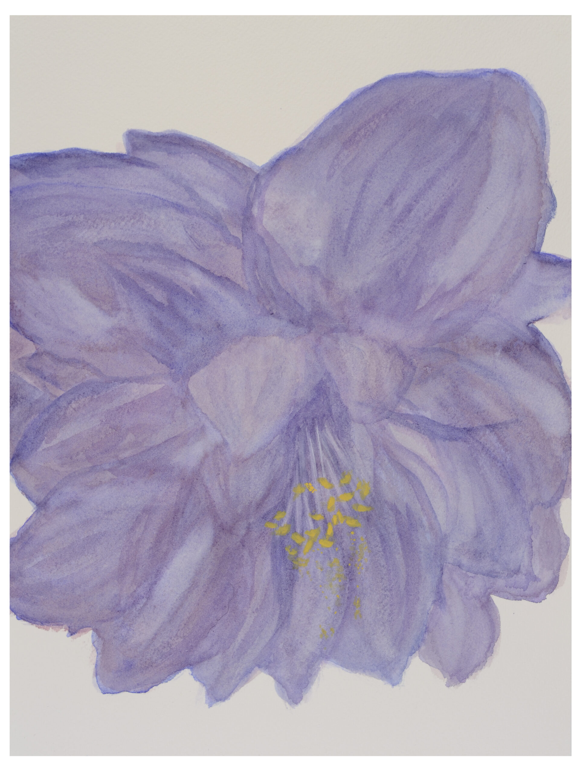 Hellebore-In-Lavender_watercolor_10x12_April-2021-scaled