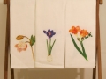 cropIMG_3010