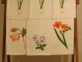 cropIMG_3013