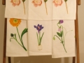 cropIMG_3016