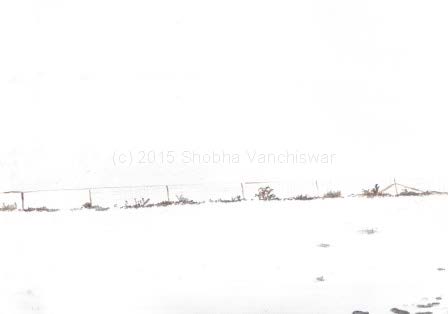 Snowscape I.jpg