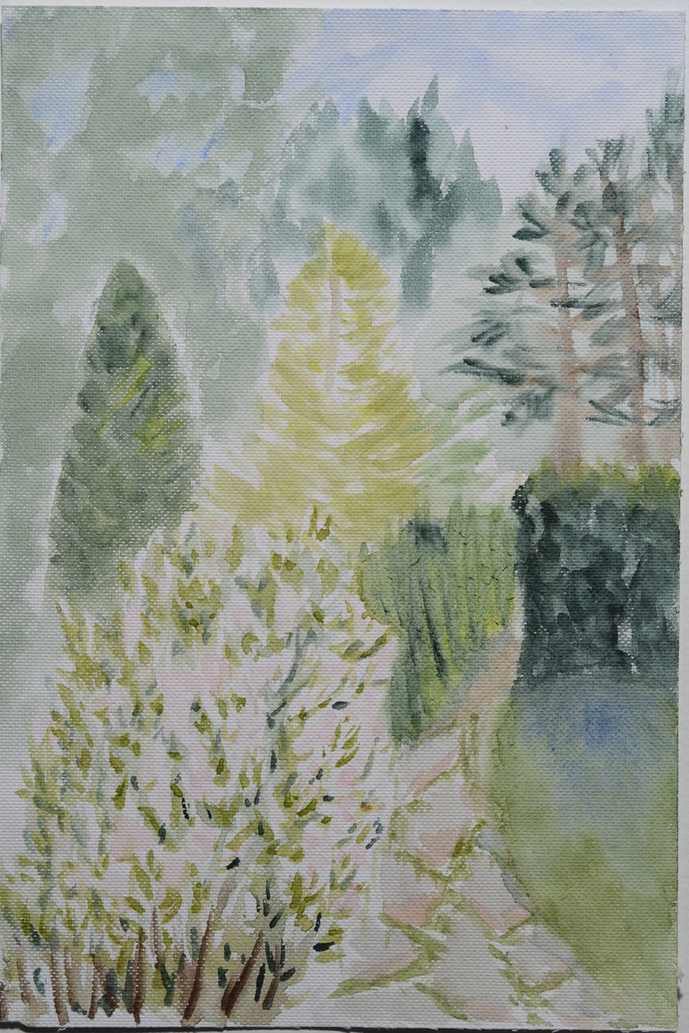 'The Garden'