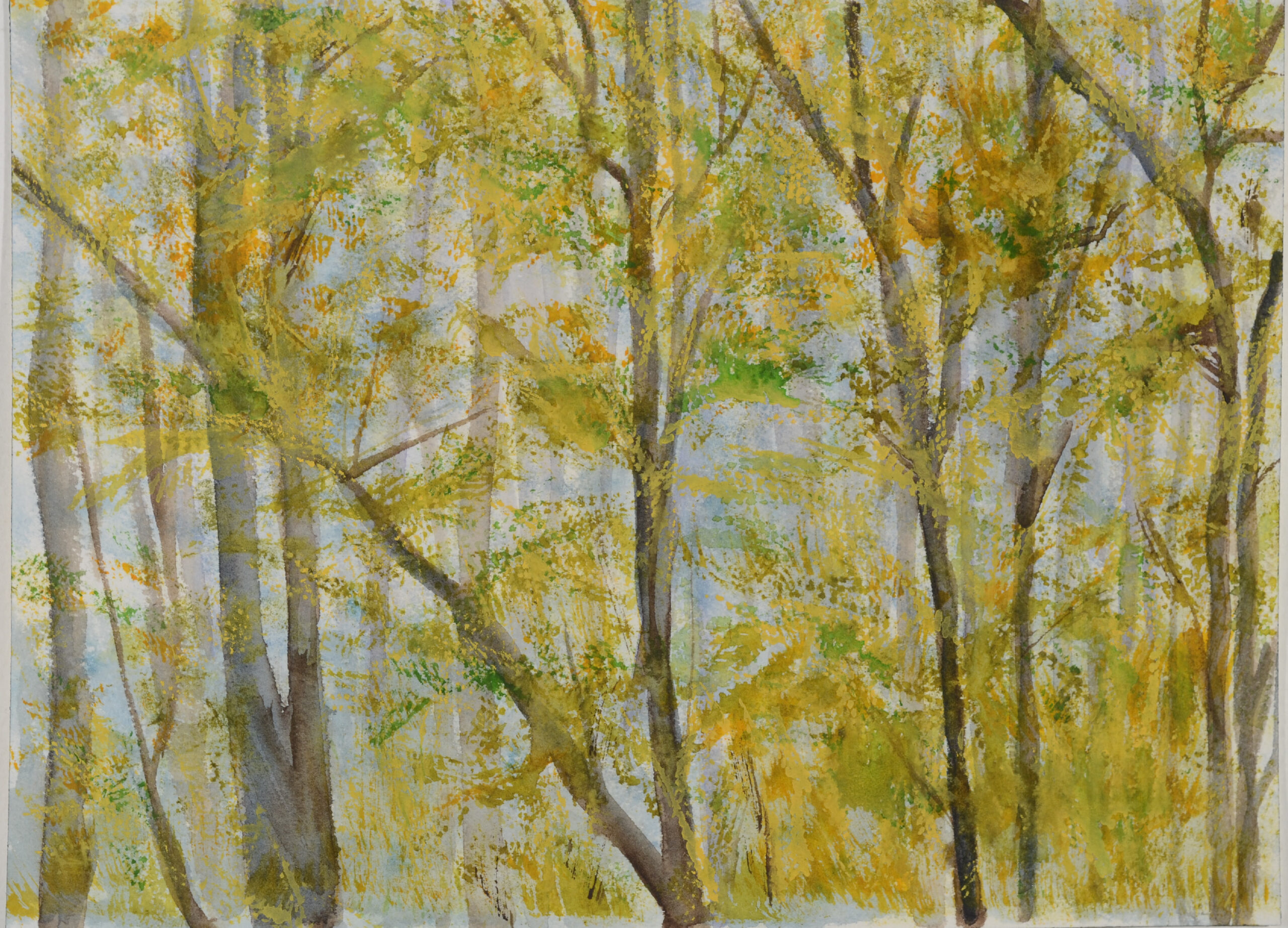 Mist-Lifting-In-The-Woods_watercolor_9x11_February-2021-scaled