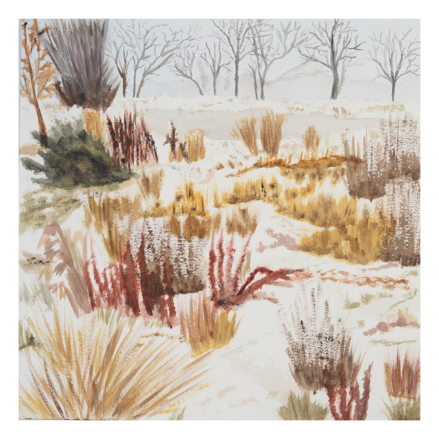 Winter-In-Color_watercolor_11x11_2020