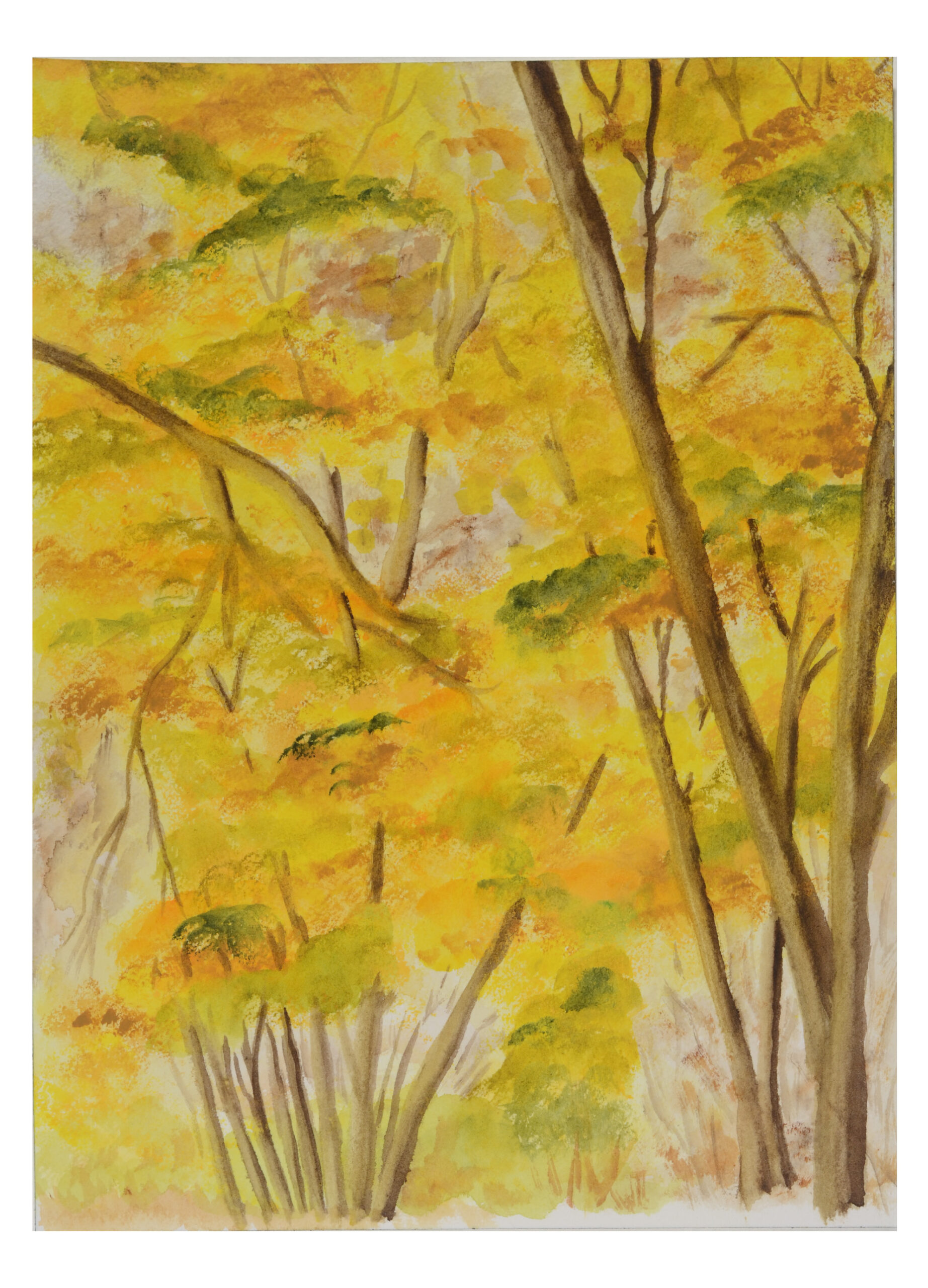 Yellow-Woods_Watercolor_9x11_November-2020-scaled