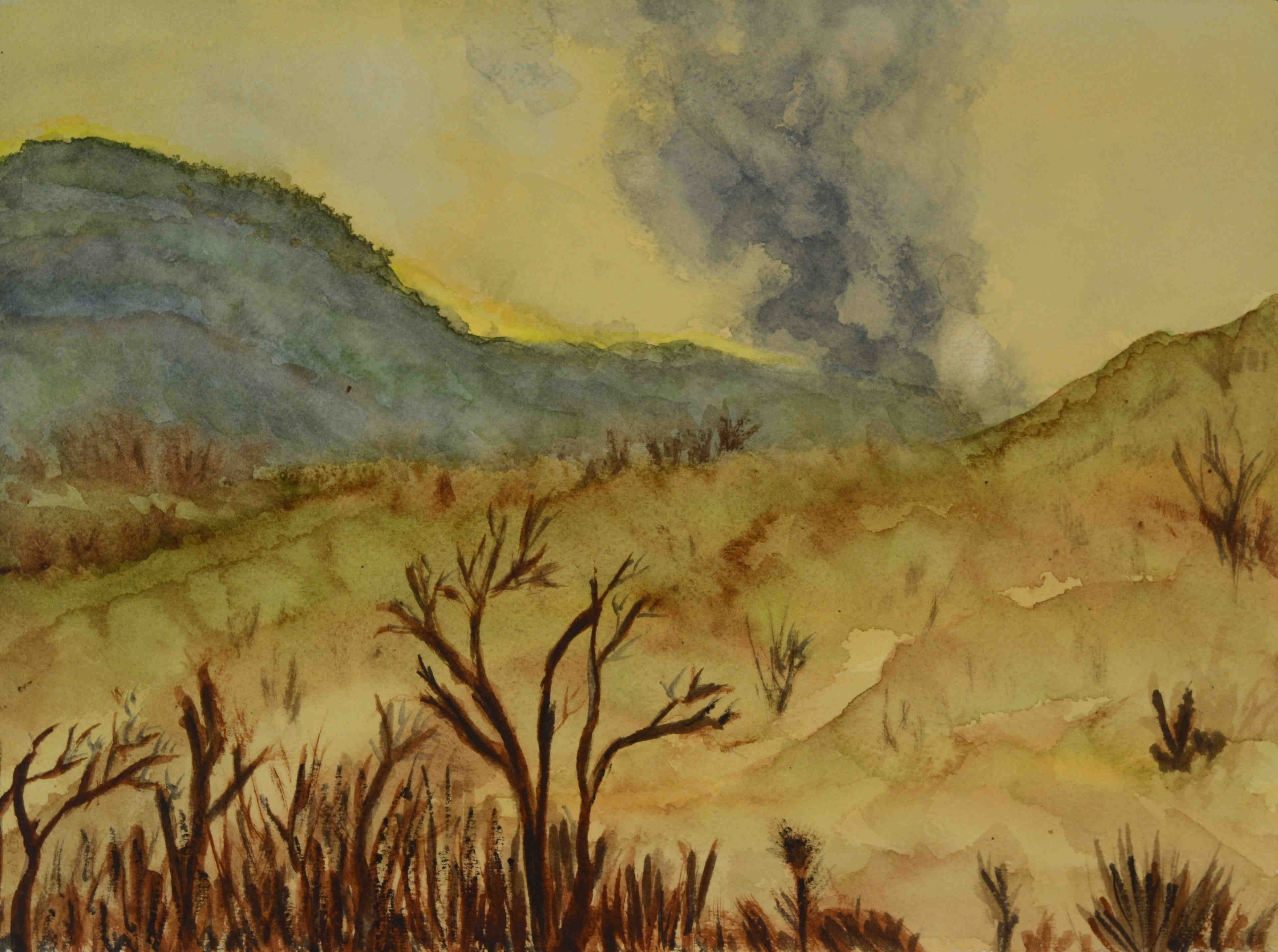 'Scorched Earth'. 9"x12".