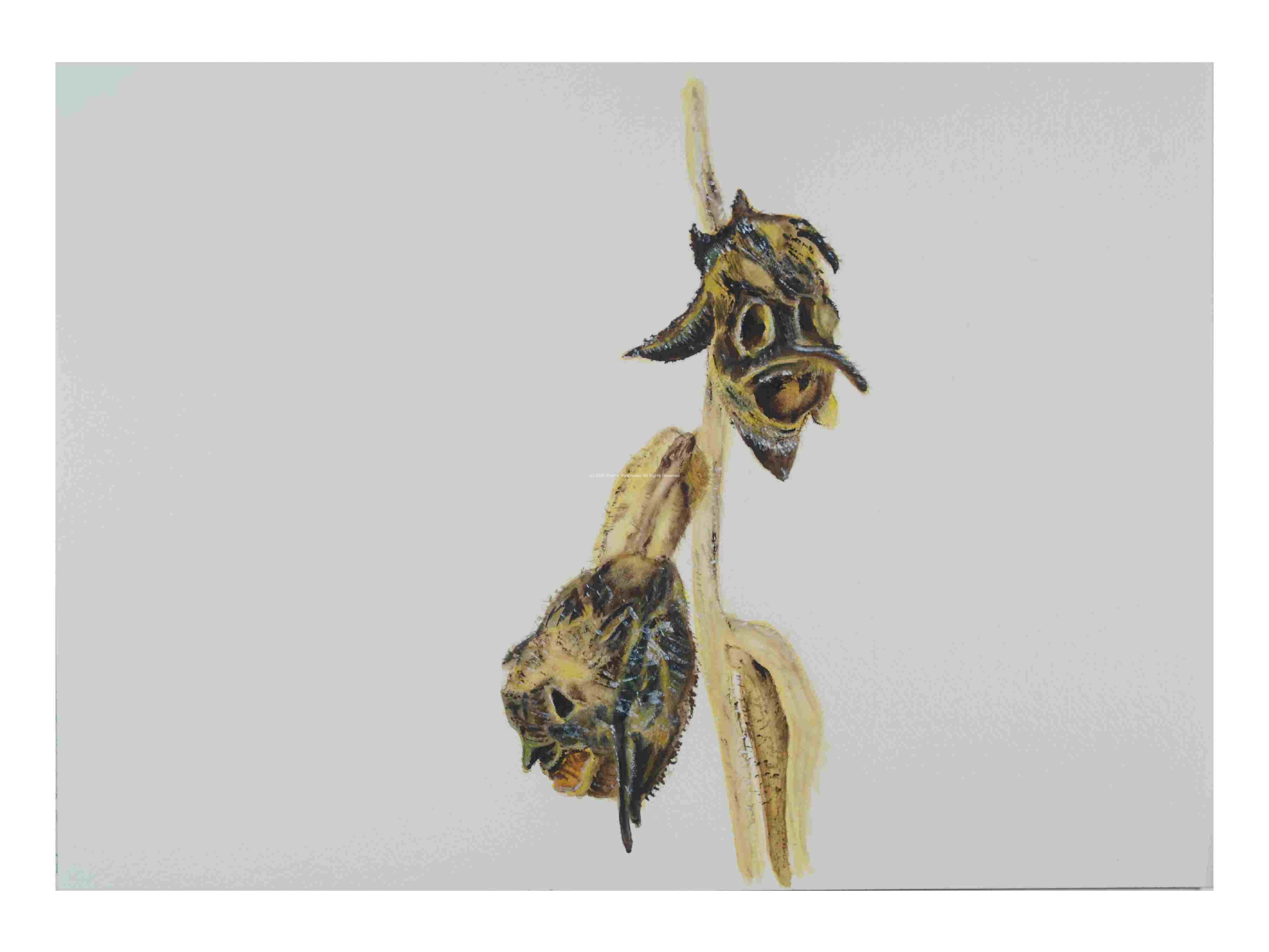 2_Seedpod-Snapdragon_watercolor_14x16_2022-Feb