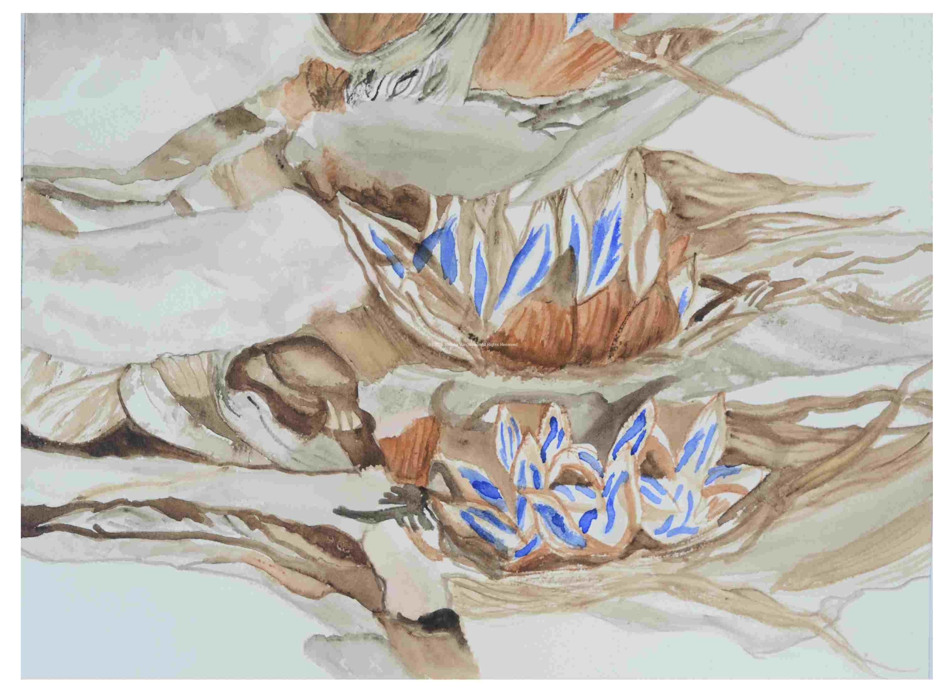 2_Seedpod-Travellers-Palm-R-madagascariensis_watercolor_9x11_2024