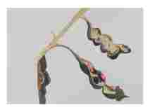 1_Seed-pod-Coral-Bean_watercolor_14x16_2022-Jan