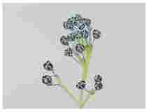 1_Seedpod-New-Jersey-Tea_watercolor_9X11_2023