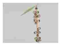 2_Seed-pods-Eucalyptus_watercolor_14x16_2022-Feb