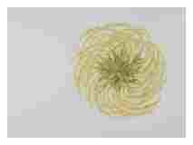 2_Seedpods-Clematis_watercolor_14x16_2021-Dec