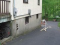 The 'boring' wall along the driveway