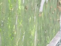 IMG_8573