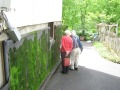 The god-parents of the wall garden visit: Carol and John Mickel, Gray Williams