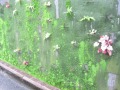 IMG_8771