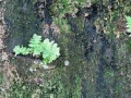 IMG_1861